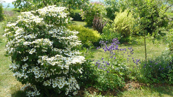 jardin - chambre d'hôtes sainte geneviève